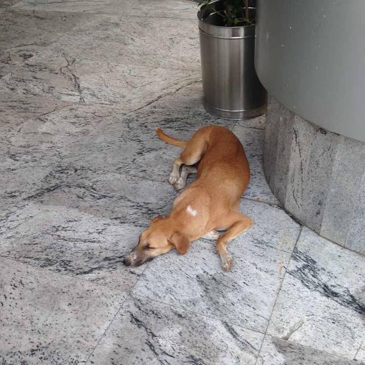 53405174 f166 4b24 9ecd 54aca993d594