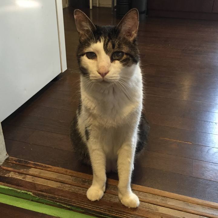 5340694a 3b93 4f49 b81f 6989f79aed73