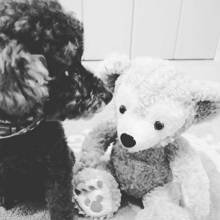 53408886 93e4 440b a57a 2079dd0f1728