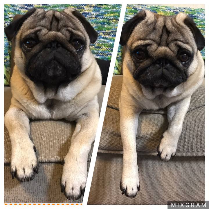 534109cf e944 4597 8827 26c35d4350c3