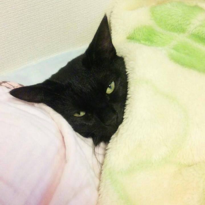 5341b774 0485 4228 bb66 deb2988315e1