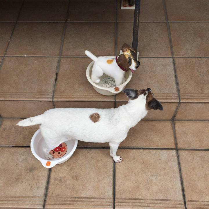 5341f9c8 8934 475d adbd ad03ec01e502