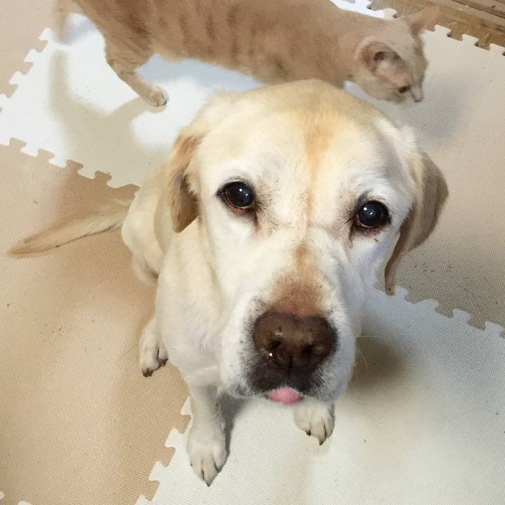 53432495 9167 4701 a064 429f01c635e4