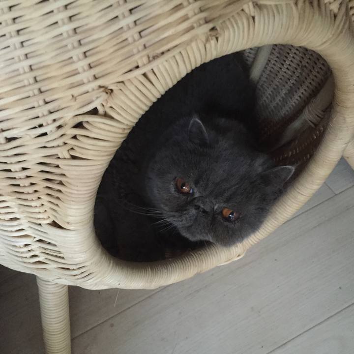 53452ec0 57d4 48df bf11 4bc8db786c0e