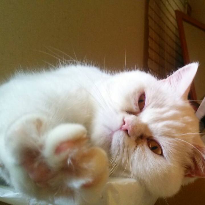 5345440b 73fc 47e9 ae73 7a2869b45b8c