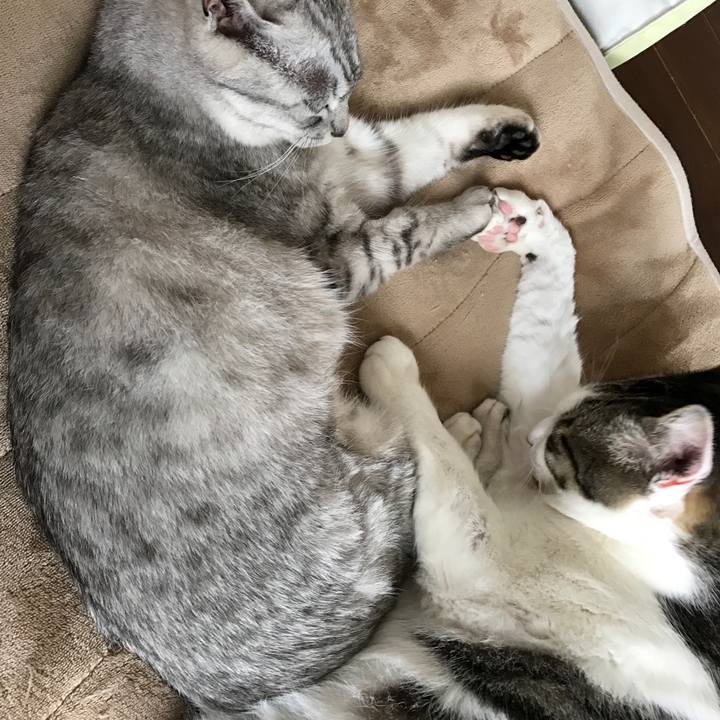 534562b1 7922 4e66 a985 befdbf67cf24