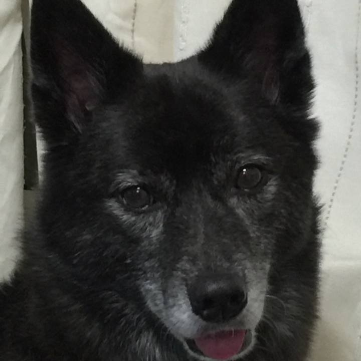 5345ebfc 2ef7 4200 9370 e5ccf606550e