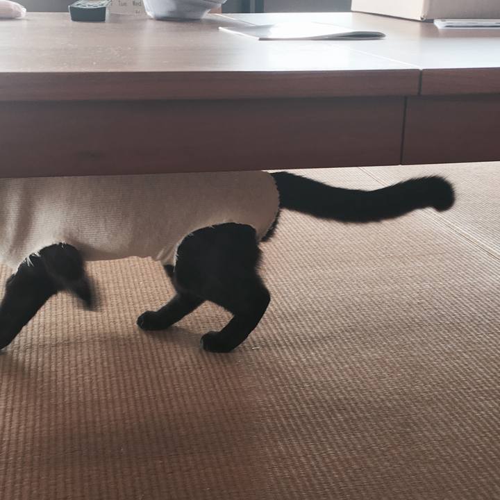 534616be 8053 4e90 b3b1 f2ac33c9ebf1