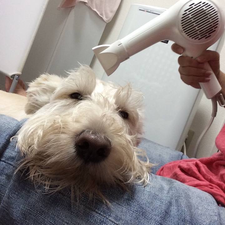 53465352 10ac 4f70 96df 769c72596e94