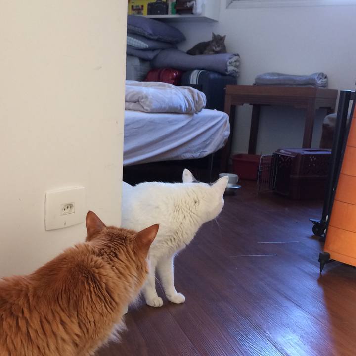 53466528 ee06 42cd b97a dae562890ed0