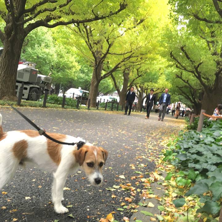 53469ebb 39de 477c 9f44 78664b5a88fc