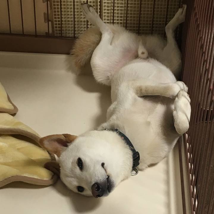 5346b881 7637 41a8 bf45 a04152d8e14a