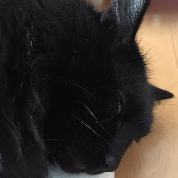 5347200a 1f86 4979 b74b 9aea5ed34b67