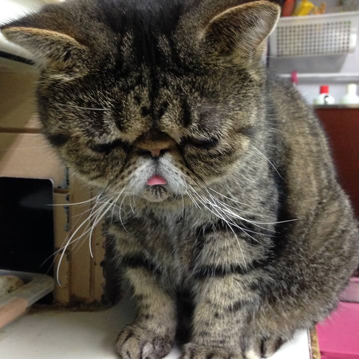 5348a721 415a 481c 81bb 2b0f4dd8e6d5