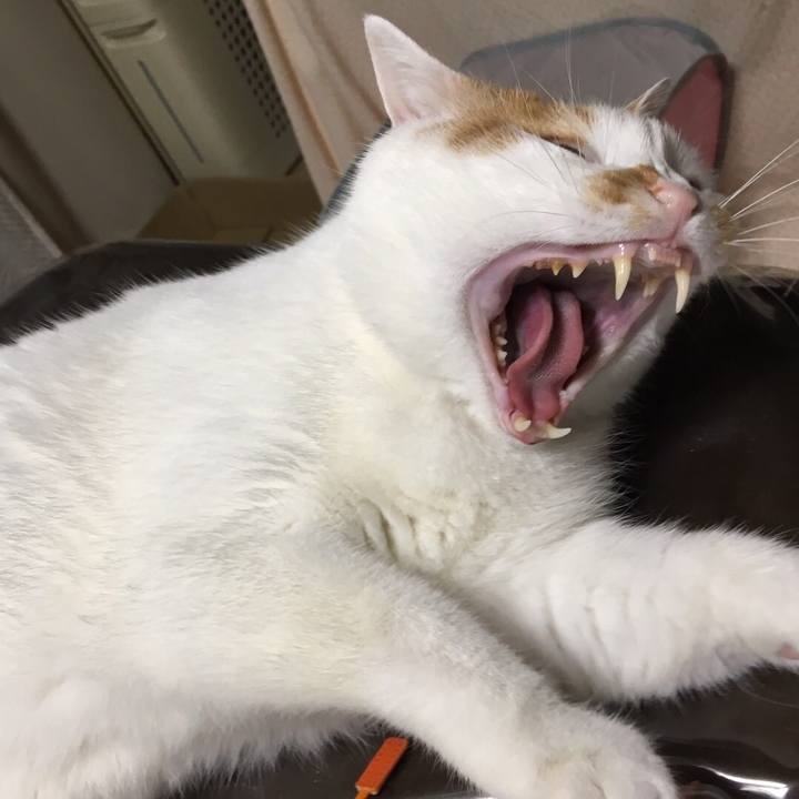 5348e847 e102 48e3 b73a 47bc2c0457d8