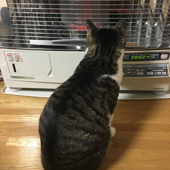 5349091c bc2f 4024 b633 f294257835fc