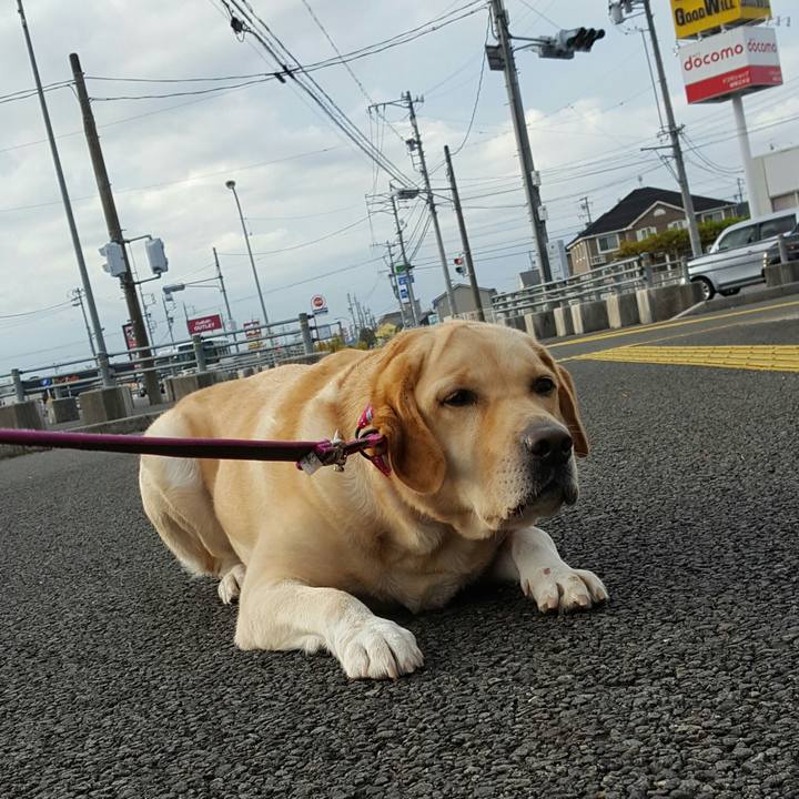 5349ddee 18bc 4f19 8cbc 65cfd3eb5498