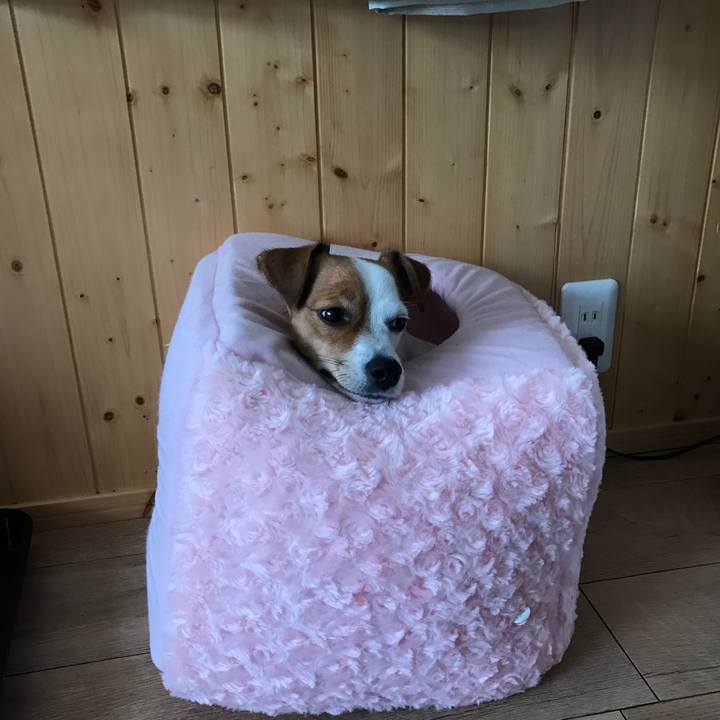 5349e1b2 b737 4790 bf65 f4a9dc25559b