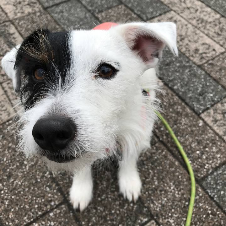 5349e668 90aa 4d4a b8c5 4b963981e9aa