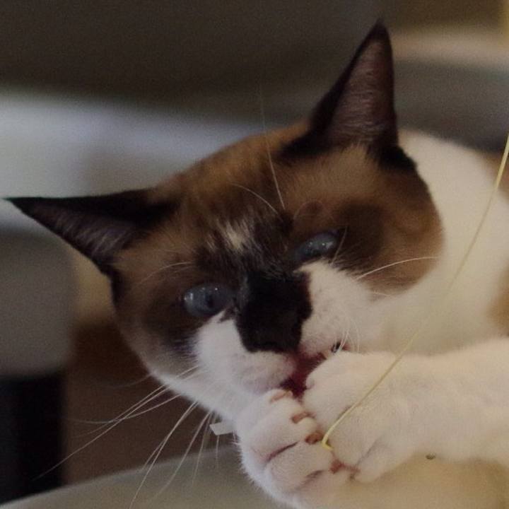 534ac949 7668 45c2 939c c29852b1c9d2