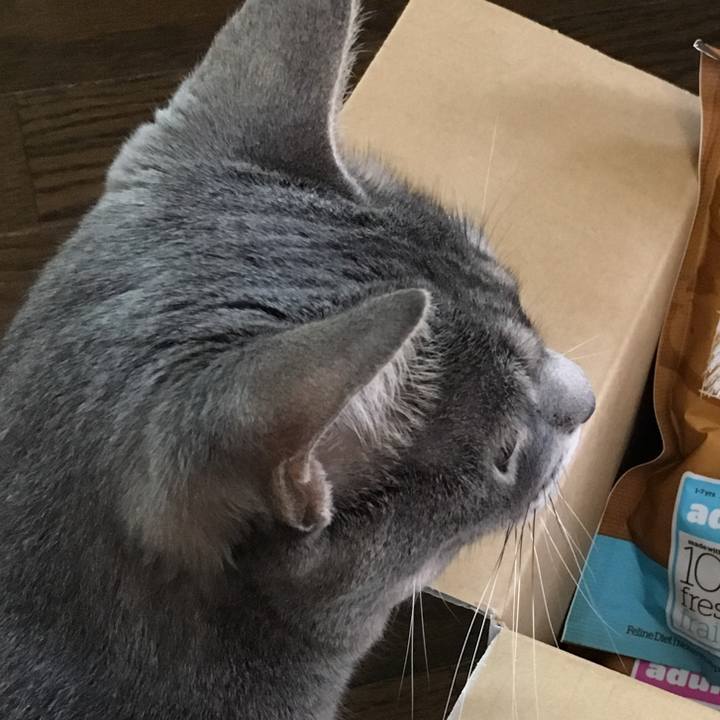 534ae764 bdbc 4efe aac7 6c8356638f62