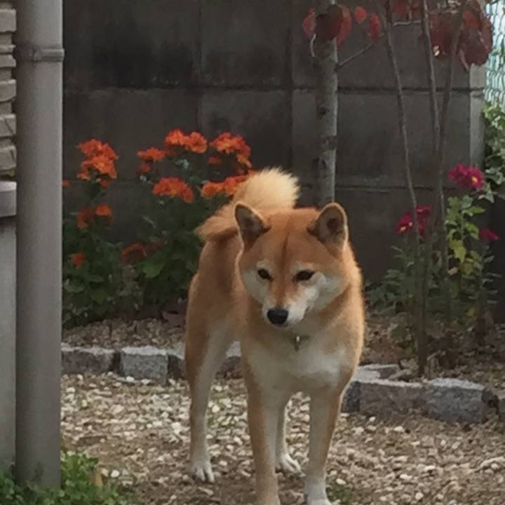 534af903 0702 448b a59c e8ec361fd950