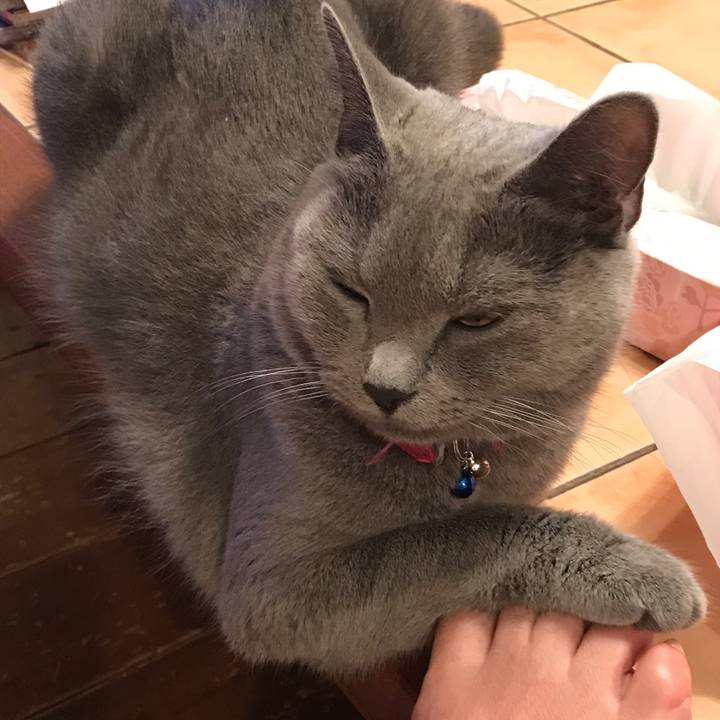 534b016e b1d1 4cc7 9510 e447a492d683