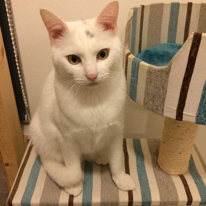 534b5780 c9d2 4ca7 b8bf d88ce41311d1