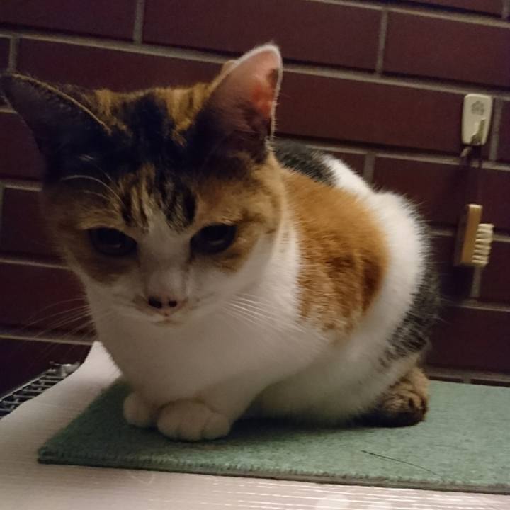 534b9a5c d379 4bee b415 d37179e6a176