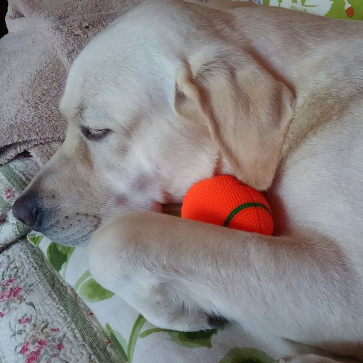 534bce7d f8da 473a 8b4f c2b247d37909