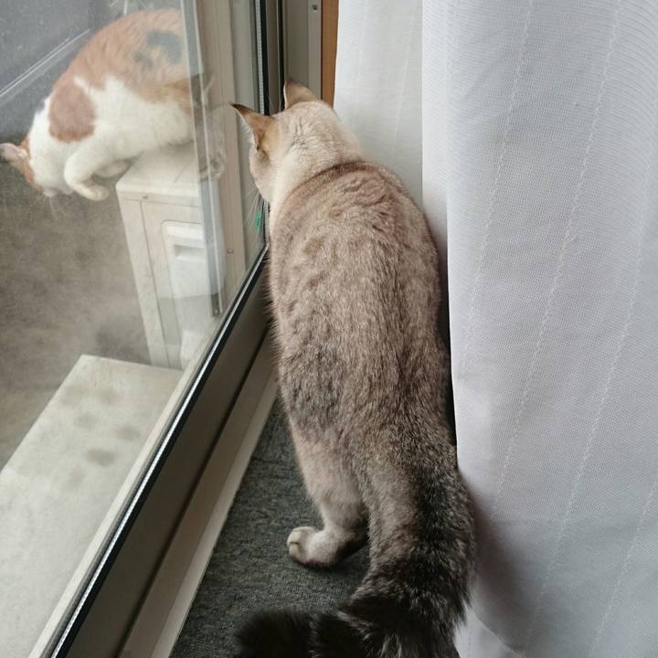 534ccbcd a424 478c b371 dc2b2a920809