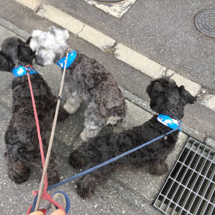 534cf44b 75e9 4437 8125 980151868c2b