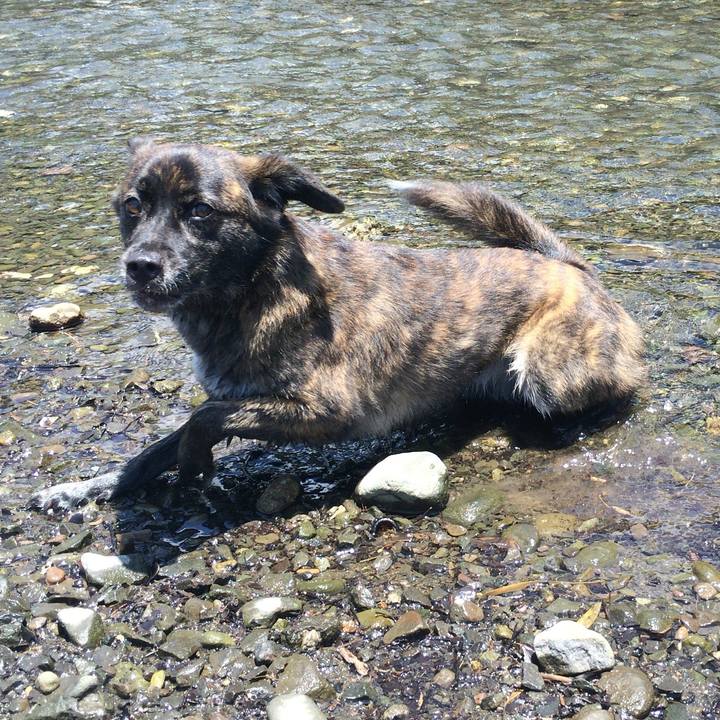 534dd164 7f0c 482a a9a7 2f276f0c562f