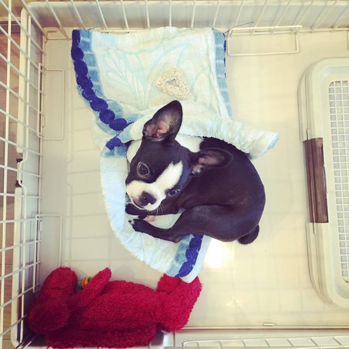 534dd6f2 9225 4ac3 b31d d786ff80c639