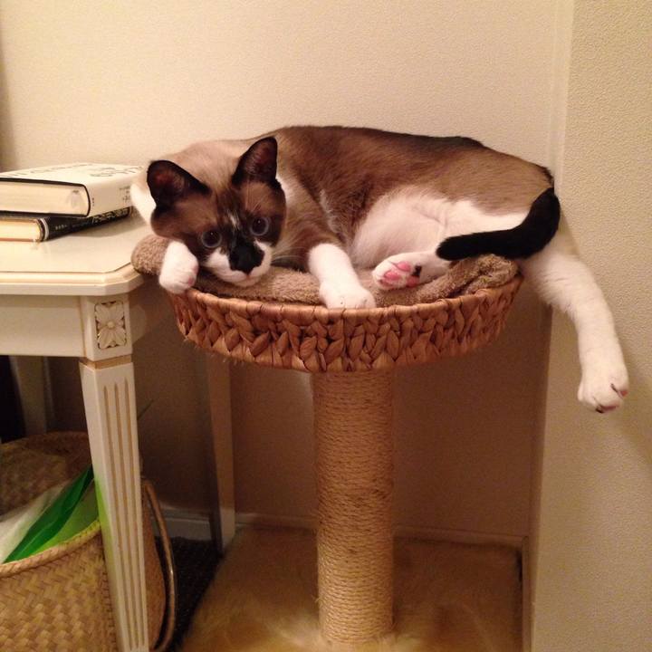 534df1f9 10d3 4f48 92ce feb59fe3d0b0