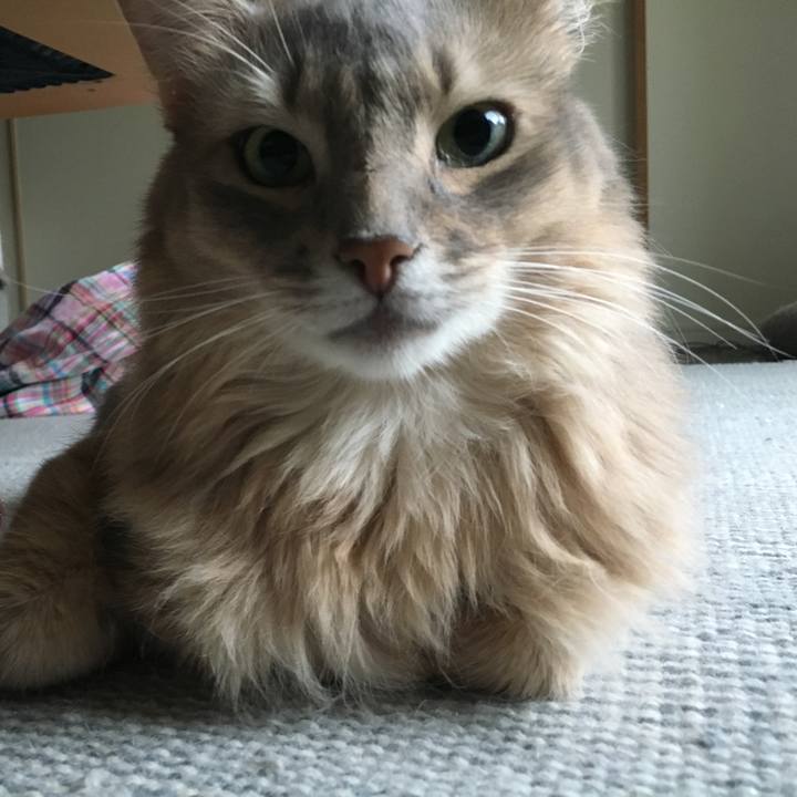 534e7b7f 4c39 45de ac9f 77d7b0339b0d