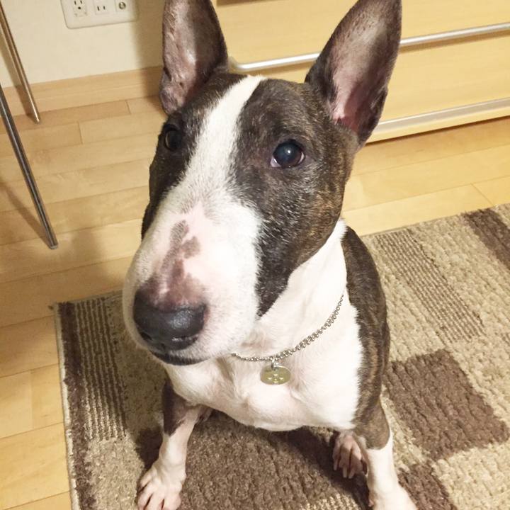 534ef6ae 4fe2 4969 a75e b9029d6d2c8e