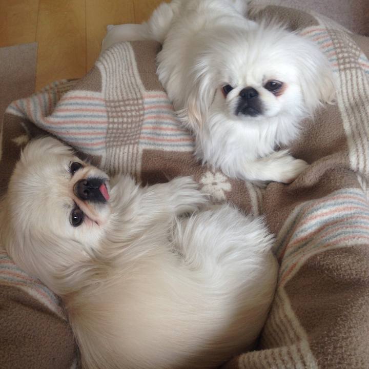 534f0e79 f924 48fe 8d84 e08ab8fa7775