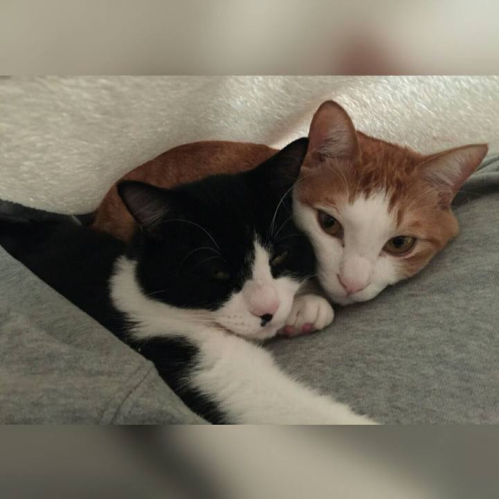 534f71a4 1659 4563 9eb6 9c3c8106cbe4