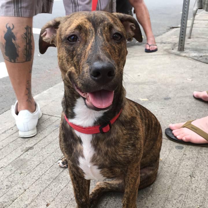 534fea04 9174 4189 82c2 6d5d5a0beebc