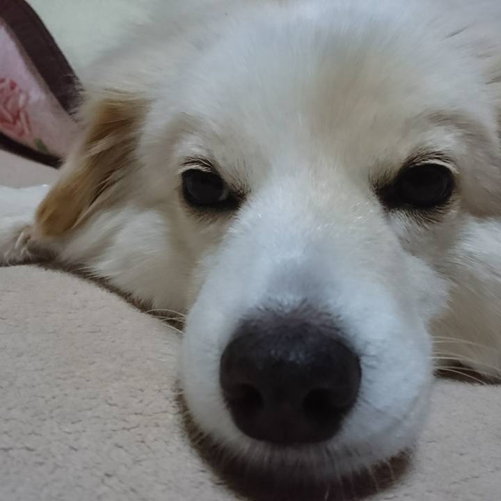 53500557 28d8 455a a552 08d432698d55