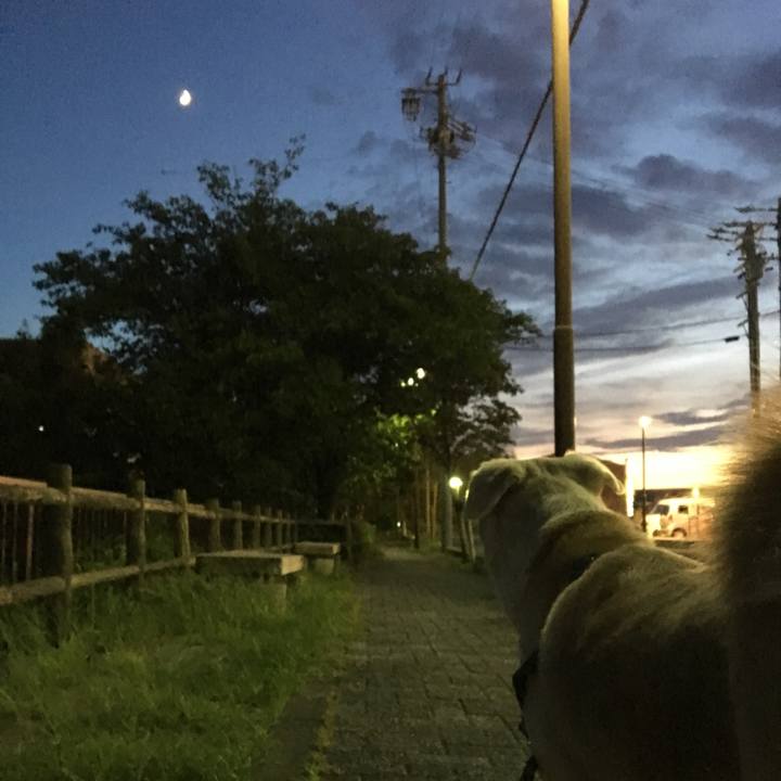 53505797 d8b5 4db0 a537 9f5eecfc3353