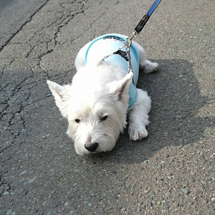 535071a1 4a08 43c0 838a c906e15e1932