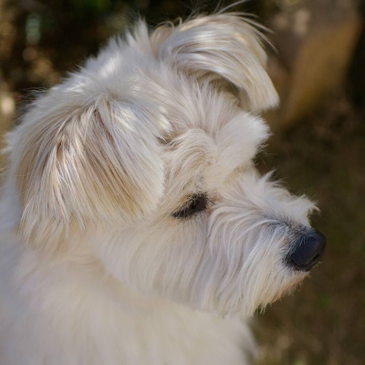 5350df25 084b 4892 bc20 fe0e60a2e5af