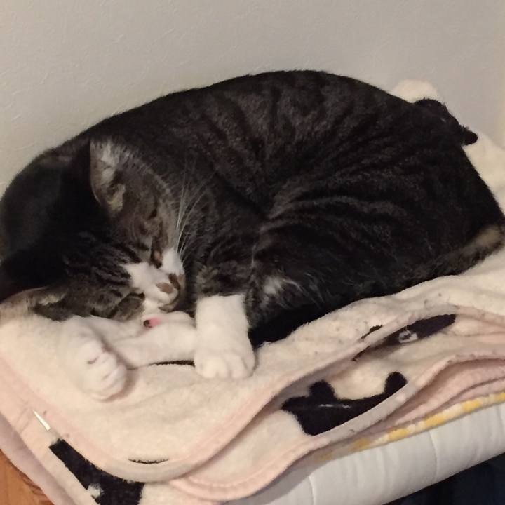 53516e1a 9c65 46ad ada6 a2b03c7879f0