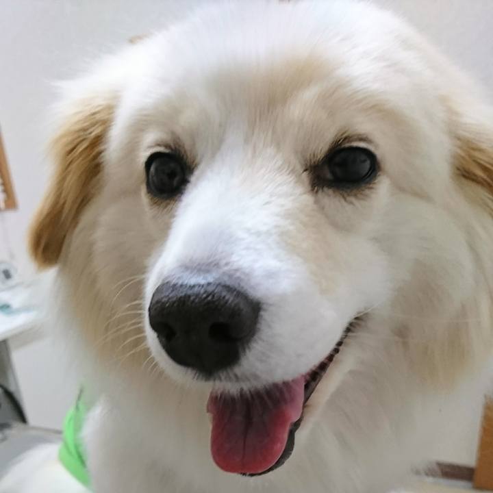 5351738b b765 40c9 9e24 58e92bfea35e