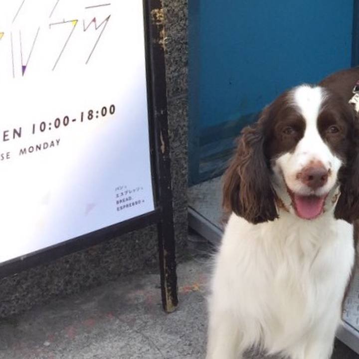 53518799 6ccc 4f16 b310 54c58ad6ba73