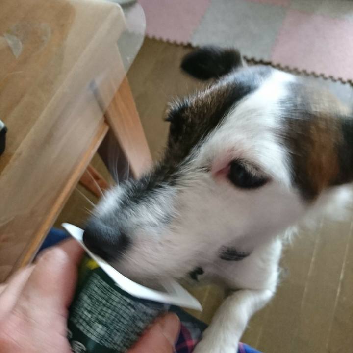 53519c85 5b59 464a 8fe4 43d46f936f4e