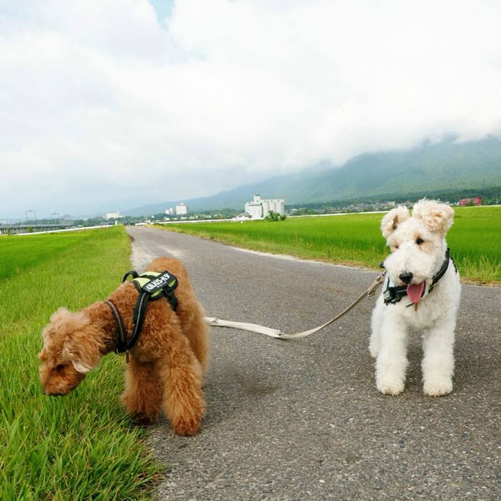 5351aee6 a3a8 4812 b7ad ab11d55ceb64