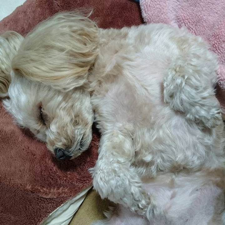 5353019c 6624 4f21 baad e0529682d561